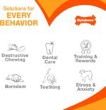 Nylabone Puppy Chew Dental Dinosaur Dog Chew Toy, Chicken Flavor, Small - Image 7