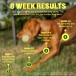 Wuffes Dog Vitamins, 23-in-1 Daily Multivitamin Soft Chews. All 8 B Vitamins, Omega-3, Zinc, Iron & Biotin. Supports Energy, Skin & Coat, Heart & Immune Health. 30 Pork Chews - Image 7