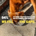 Wuffes Dog Vitamins, 23-in-1 Daily Multivitamin Soft Chews. All 8 B Vitamins, Omega-3, Zinc, Iron & Biotin. Supports Energy, Skin & Coat, Heart & Immune Health. 30 Pork Chews - Image 9
