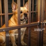 Hiwokk 38 Inch Heavy Duty Dog Crate, Indestructible Kennel for Small Dogs - Image 3