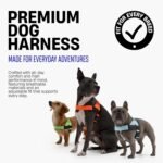 Dog Friendly Co. Dog Harness for Medium Dogs (Sky Blue, Medium) - Image 3