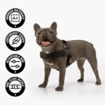 Dog Friendly Co. Dog Harness for Medium Dogs (Sky Blue, Medium) - Image 4
