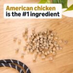 Amazon Basics Chicken Flavor Training Treats for Dogs, 2 lb. Bag (32 oz) (Previously Wag) - Image 3