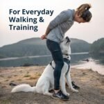 Ruffwear, Front Range Dog Chest Harness, Pink Mountains, Medium - Image 3