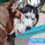 SOICTA Portable Dog Small Animals Water Bottle for Walking 19 OZ or 12 OZ Pet Water Bottles for Puppy Medium Large Dogs Little Animals Water Dispenser Dog Small Animals Water Bowl - Image 6