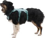 Ruffwear, Web Master Dog Body Harness, Blaze Orange, Medium - Image 3