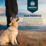SportPet Airline Compliant LARGE 31.5" Travel Dog Kennel- Durable Plastic Airline Pet Carrier w/ Removable Wheels & Food Bowls, Collapsible Indoor/Outdoor Dog Kennel, Dogs up to 28"L & 20"H-Dark Gray - Image 12