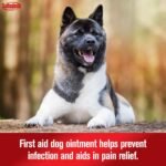Sulfodene Dog Wound Care 3-Way Ointment, Soothes Cuts and Scrapes, 2 oz - Image 3