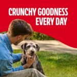 Milk-Bone Original Biscuits Medium Dog Treats, 24 Oz. - Image 5