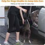 LOOBANI Adjustable Dog Sling for Large Dogs Hind Leg Support ACL Recovery - Image 3