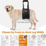 LOOBANI Adjustable Dog Sling for Large Dogs Hind Leg Support ACL Recovery - Image 5