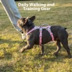 Huntboo Escape Proof Dog Harness, Escape Artist Harness, Fully Reflective Harness with Padded Handle, Breathable,Durable, Adjustable Vest for Medium Dogs Walking, Training, and Running Gear (Pink,M) - Image 7