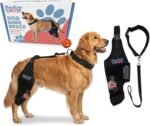 Dog Knee Brace for Hind Leg – Adjustable Joint Support for CCL/ACL Injuries, Arthritis & Post-Surgery Recovery – Stabilizing Orthopedic Brace for Dogs (Medium -Left)