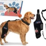 Dog Knee Brace for Hind Leg – Adjustable Joint Support for CCL/ACL Injuries, Arthritis & Post-Surgery Recovery – Stabilizing Orthopedic Brace for Dogs (Medium -Left)
