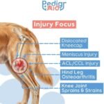Dog Knee Brace for Hind Leg – Adjustable Joint Support for CCL/ACL Injuries, Arthritis & Post-Surgery Recovery – Stabilizing Orthopedic Brace for Dogs (Medium -Left) - Image 3