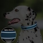 PetiFine Dog Collars for Medium Dogs, Neoprene Padded and Adjustable, Reflective Wide Heavy Duty Pet Collars with Durable Metal Belt Buckle for Walking, Blue, M - Image 4
