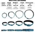 PetiFine Dog Collars for Medium Dogs, Neoprene Padded and Adjustable, Reflective Wide Heavy Duty Pet Collars with Durable Metal Belt Buckle for Walking, Blue, M - Image 5
