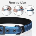 PetiFine Dog Collars for Medium Dogs, Neoprene Padded and Adjustable, Reflective Wide Heavy Duty Pet Collars with Durable Metal Belt Buckle for Walking, Blue, M - Image 6