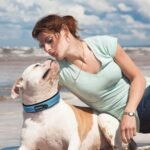 PetiFine Dog Collars for Medium Dogs, Neoprene Padded and Adjustable, Reflective Wide Heavy Duty Pet Collars with Durable Metal Belt Buckle for Walking, Blue, M - Image 7