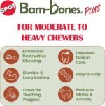 SPOT Bam-Bones Plus T-Bone Dog Chew, Beef, 6in, 30-60 lb Heavy Chewers - Image 4
