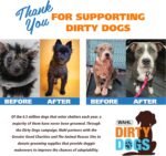 Wahl USA Dry Skin & Itch Relief Pet Shampoo for Dogs – Oatmeal Formula with Coconut Lime Verbena Scent & Pet Friendly Formula, 24 Oz - Model 820004A - Image 4