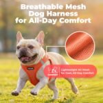 Voyager Step-in Air Dog Vest Harness - Orange, Small - Image 6