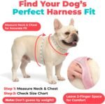 Voyager Step-in Air Dog Vest Harness - Orange, Small - Image 7