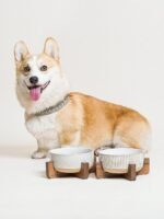 LE TAUCI PET Ceramic Dog Bowls for Medium Small Dogs - 4 Cup Medium Dog Food and Water Bowls with Wood Stand, Cute Pet Dishes Set of 2, Lines+Dot - Image 5