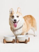 LE TAUCI PET Ceramic Dog Bowls for Medium Small Dogs - 4 Cup Medium Dog Food and Water Bowls with Wood Stand, Cute Pet Dishes Set of 2, Lines+Dot - Image 7