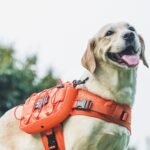 ONETIGRIS Dog Backpack for Medium & Large Dogs, Nylon Backpack for Dogs Tactical Pet Backpack with Side Pockets for Hiking Walking Training Running (Orange, Medium) - Image 6