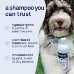 Petpost | Dog Whitening Shampoo with Coconut Oil & Aloe. Brightens White & Light Coats, Moisturizes Skin. Watermelon Scent. 8 oz - Image 4