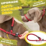 Fida Durable Slip Lead Dog Leash, 6 FT x 1/2" Dog Training Leash, Red - Image 3