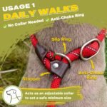 Fida Durable Slip Lead Dog Leash, 6 FT x 1/2" Dog Training Leash, Red - Image 4