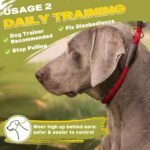 Fida Durable Slip Lead Dog Leash, 6 FT x 1/2" Dog Training Leash, Red - Image 5