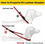Fida Durable Slip Lead Dog Leash, 6 FT x 1/2" Dog Training Leash, Red - Image 8