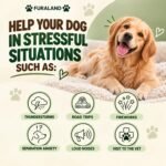 Hemp Calming Chews for Dogs Anxiety & Stress Relief - 170 Dog Calming Chews - Image 4