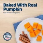Blue Buffalo Health Bars Pumpkin & Cinnamon Dog Biscuits, 16 oz - Image 3