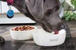 Pearhead Ceramic Dog Bowl - Woof Speckled Pet Food & Water Dish, 20 oz - Image 6