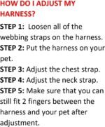 Best Pet Supplies Voyager Step-in Air All Weather Mesh Harness and Reflective Dog 5ft Leash Combo with Neoprene Handle, for Small, Medium and Large Breed Puppies - Red, X-Small - Image 8