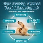 Yeast Infection Treatment for Dogs, Dog Yeast Chews Itch Relief 200 Chews - Image 3