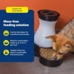 PetSafe Healthy Pet Food Station, 4 lb Gravity Feeder, Cats & Dogs, Medium - Image 3