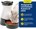 PetSafe Healthy Pet Food Station, 4 lb Gravity Feeder, Cats & Dogs, Medium - Image 7