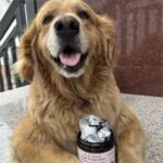 ZEBORA Probiotics for Dogs, Digestive & Itch Relief, 120 Chews - Image 8