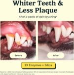 Jasper Dog Toothpaste Double Enzymatic, Chicken Flavor 3.5oz 2-Pack - Image 4