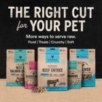 Vital Essentials Freeze Dried Dog Treats, Beef Liver, 2.1 oz Bag - Image 10
