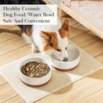 MALACASA Dog Bowls, Ceramic Dog Food and Water Bowls for Large Size Dogs, 6 Cups Capacity Pet Bowl for Large Dogs (L-6 Cups) - Image 5