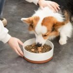 MALACASA Dog Bowls, Ceramic Dog Food and Water Bowls for Large Size Dogs, 6 Cups Capacity Pet Bowl for Large Dogs (L-6 Cups) - Image 8