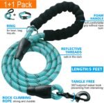 Ladoogo Reflective Dog Collar Padded with Soft Neoprene, Medium, Turquoise - Image 2