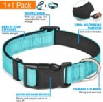 Ladoogo Reflective Dog Collar Padded with Soft Neoprene, Medium, Turquoise - Image 3