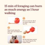 Reggie Snuffle Ball for Dogs | Interactive Treat Dispensing Dog Enrichment Toys | Reduces Boredom, Stress & Hyperactivity | Snuffle Toys for Dogs | Washable Dog Puzzle Toy I Red - Image 6